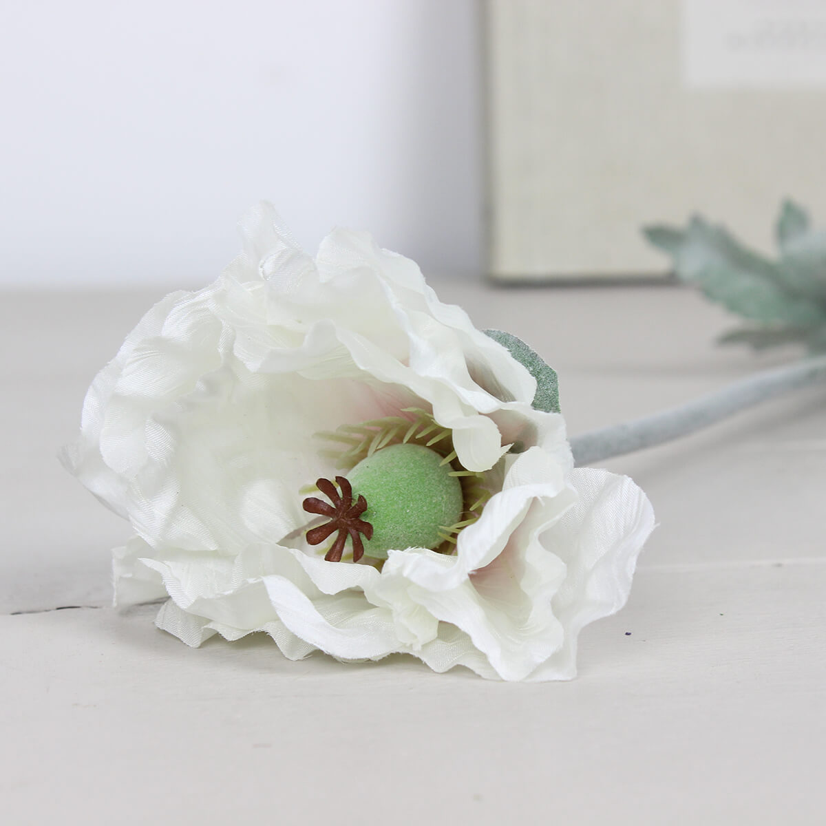 Heirloom Pepperbox Poppy Stem