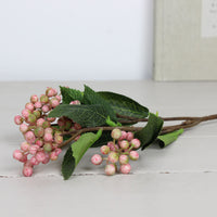Thumbnail for Pink Wild Berry Spray