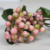 Thumbnail for Pink Wild Berry Spray