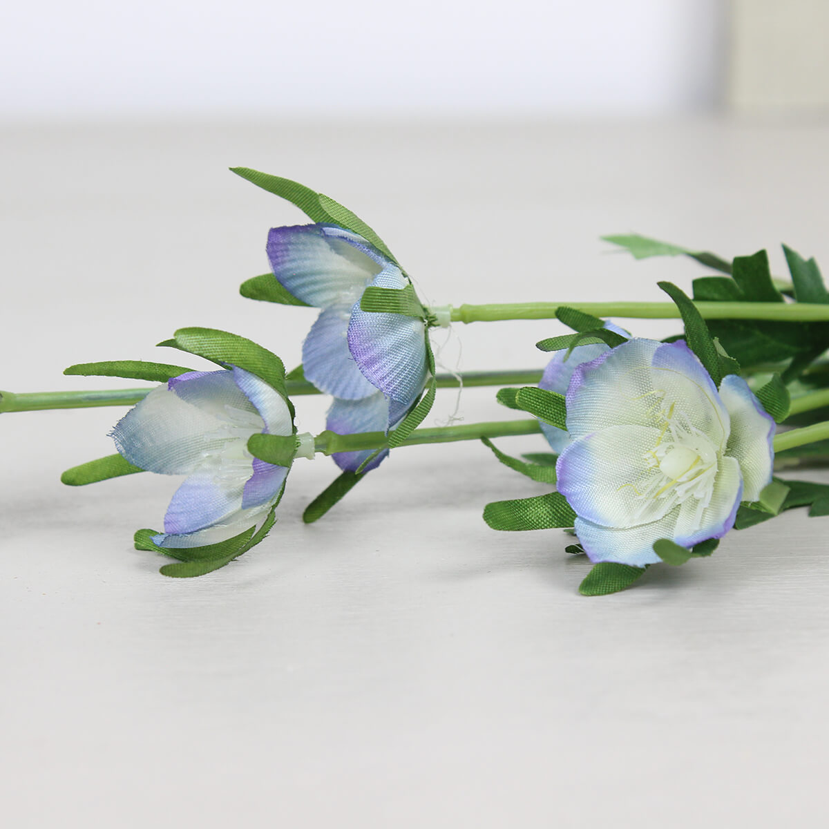 Blue Wildflower Stem