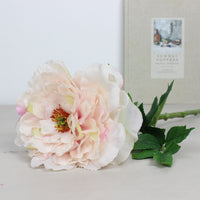 Thumbnail for Apricot Frilly Peony Stem