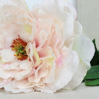 Thumbnail for Apricot Frilly Peony Stem