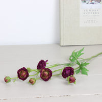 Thumbnail for Purple Ranunculus Mini Spray