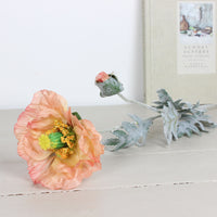 Thumbnail for Apricot Poppy Stem