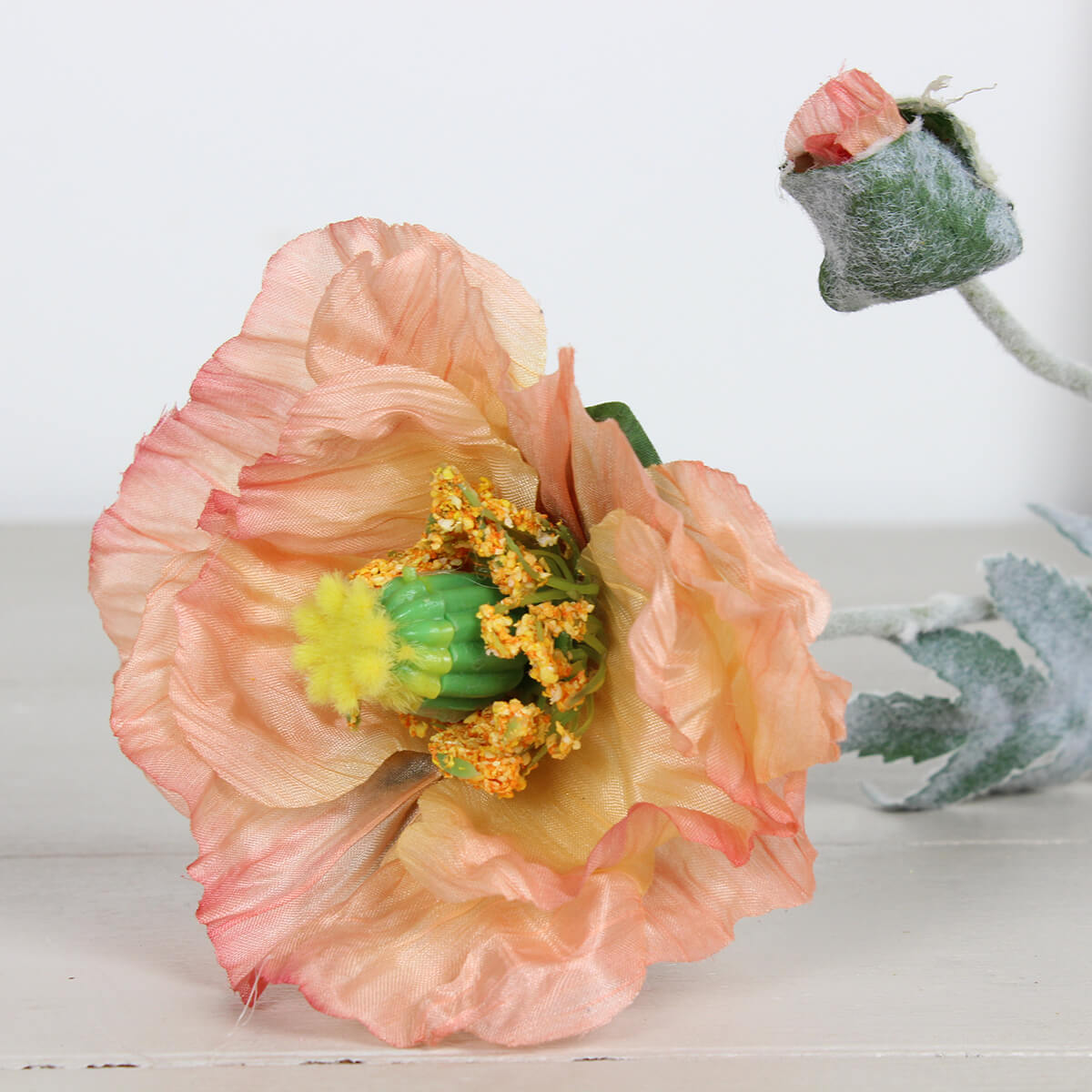 Apricot Poppy Stem