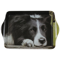 Thumbnail for Collie Dog Trinket Tray
