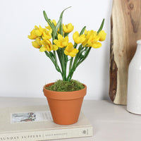 Thumbnail for Faux Potted Crocus Bush