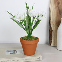 Thumbnail for Faux Potted Crocus Bush