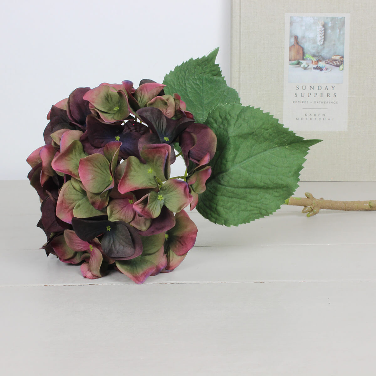 Fig and Olive Hydrangea