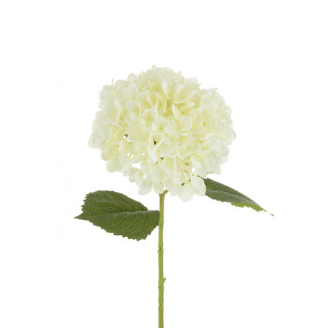 Ivory Hydrangea Stem