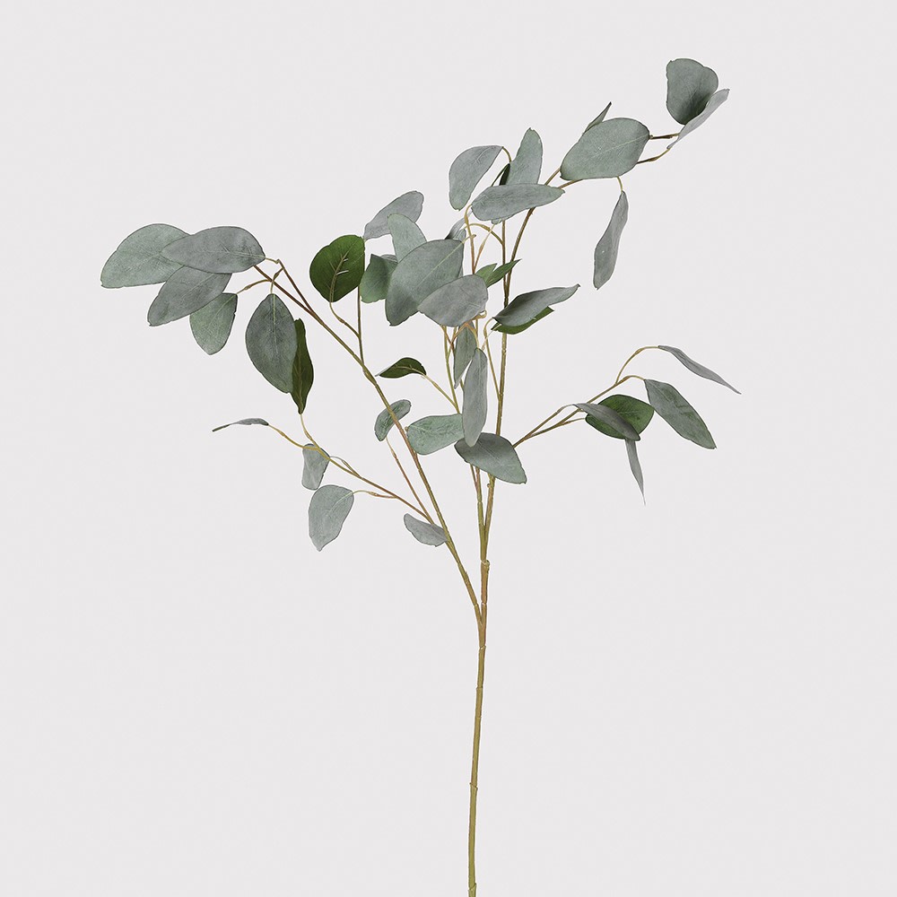 Silver Dollar Eucalyptus Spray