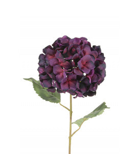 Luxury Purple Hydrangea