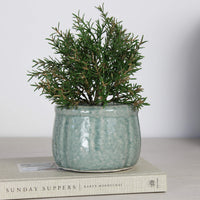 Thumbnail for Mia Small Ceramic Aqua Pot