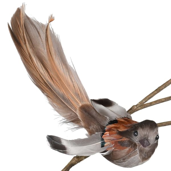 Mini Bird With Feather on Clip