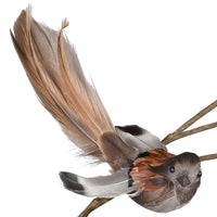 Thumbnail for Mini Bird With Feather on Clip
