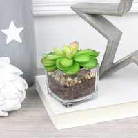 Thumbnail for Faux Miniature Succulent in Glass Pot