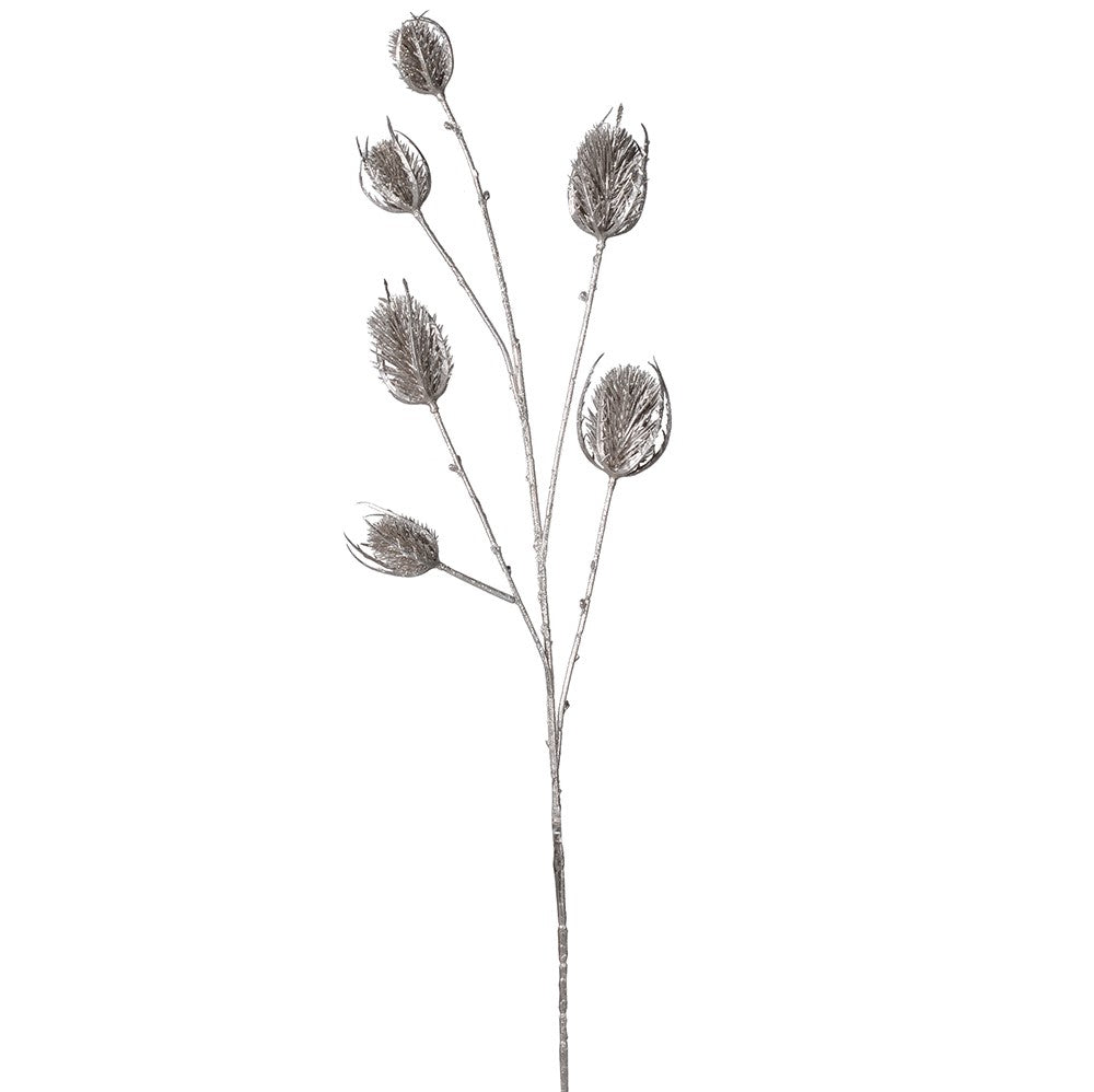 Silver Teasel Spray