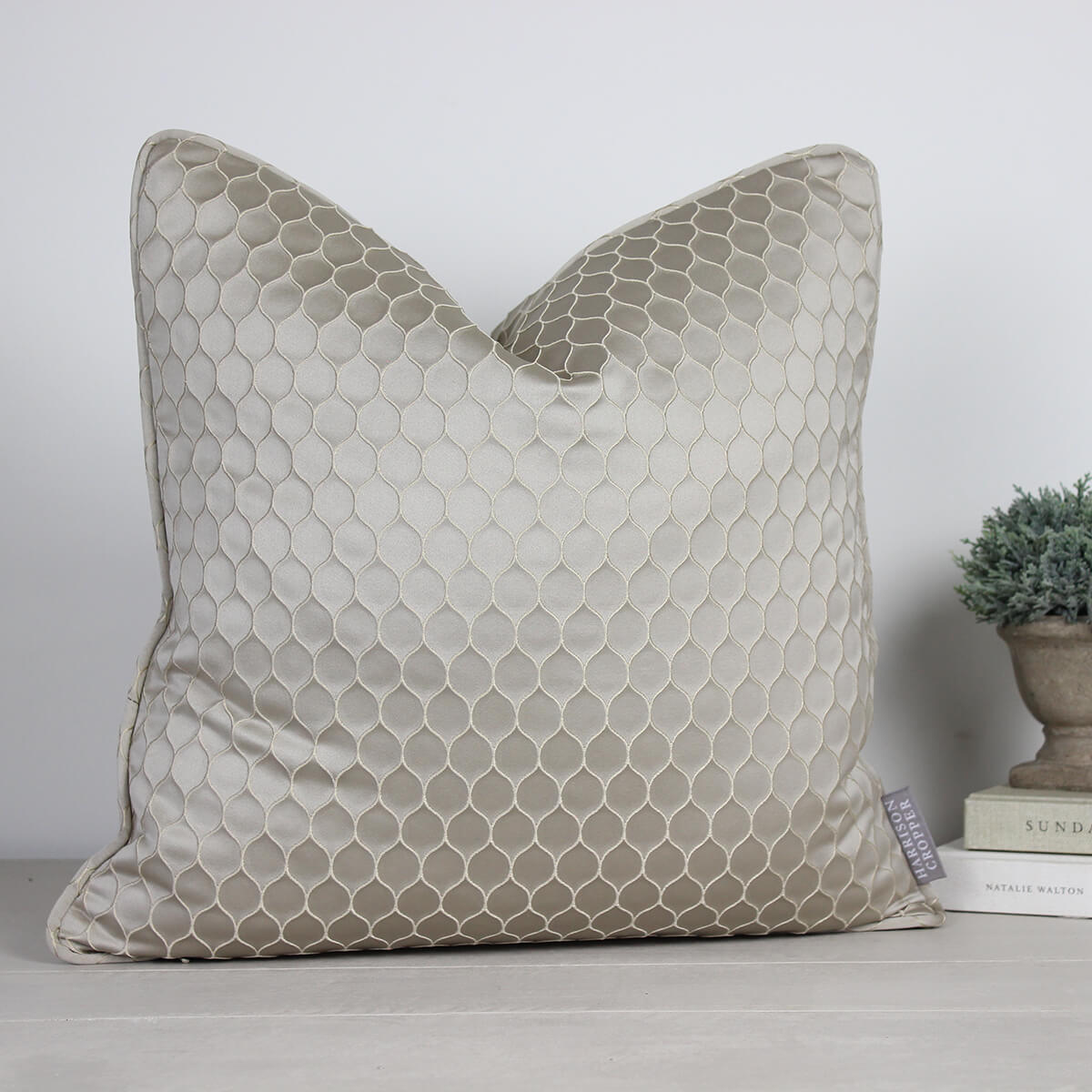 Neon Latte Cushion