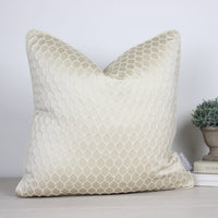 Thumbnail for Neon Oatmeal Cushion