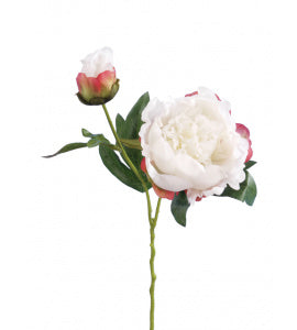 Faux White & Pink Peony Spray