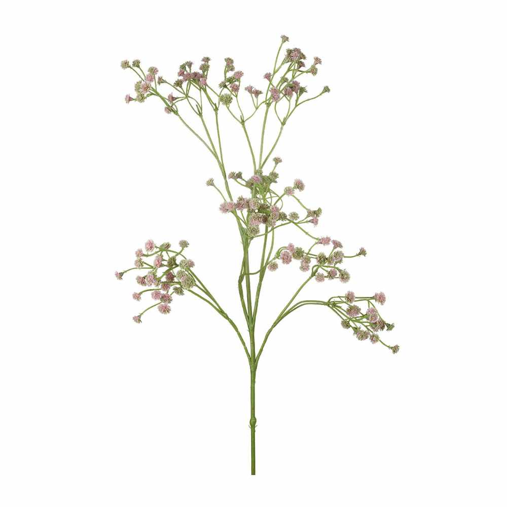 Pink Gypsophila Spray