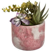 Thumbnail for Faux Potted Succulent