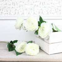 Thumbnail for Large Ranunculus Ivory Spray