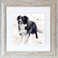 Thumbnail for Stan Collie Framed Print