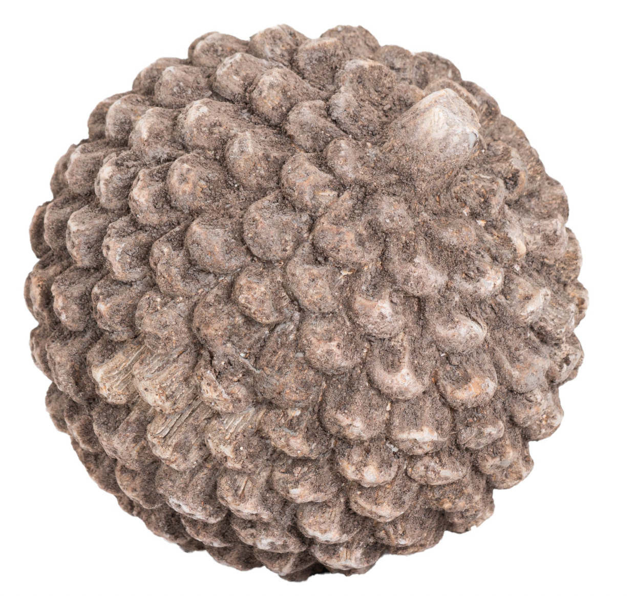 Small Stone Pinecone