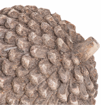 Thumbnail for Small Stone Pinecone