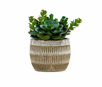 Thumbnail for Succulents in Ceramic Pot - Small