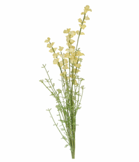 Thumbnail for Yellow Lupin Spray