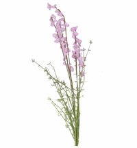 Thumbnail for Lilac Lupin Spray