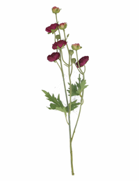 Thumbnail for Purple Ranunculus Mini Spray
