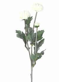 Thumbnail for White Pom Pom Stem