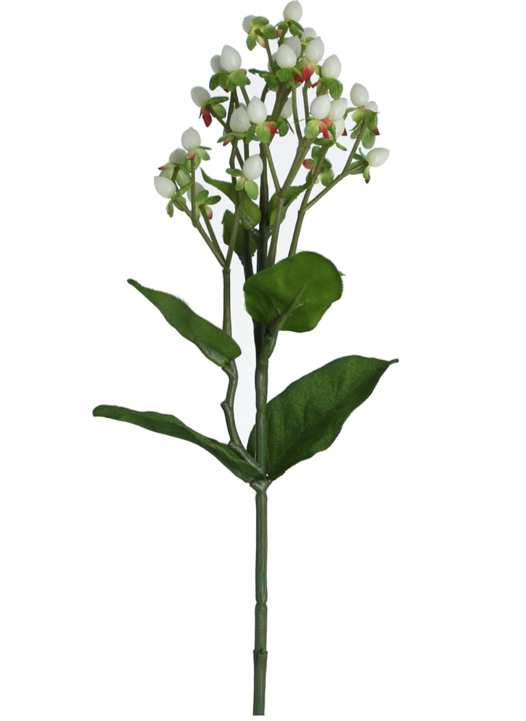 White Berry Spray