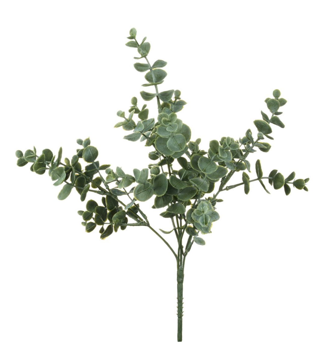Green Eucalyptus Spray