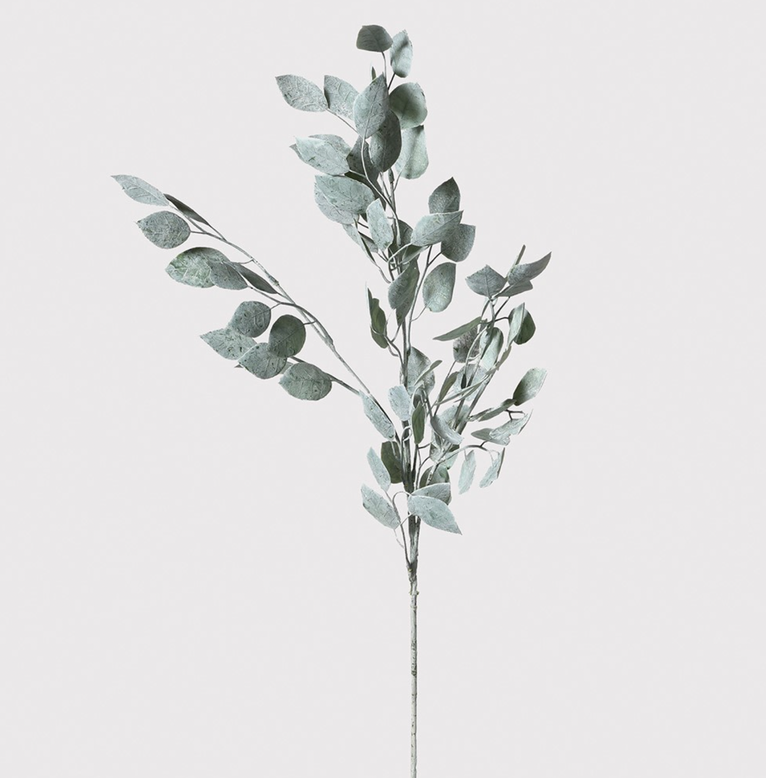 Large Eucalyptus Spray