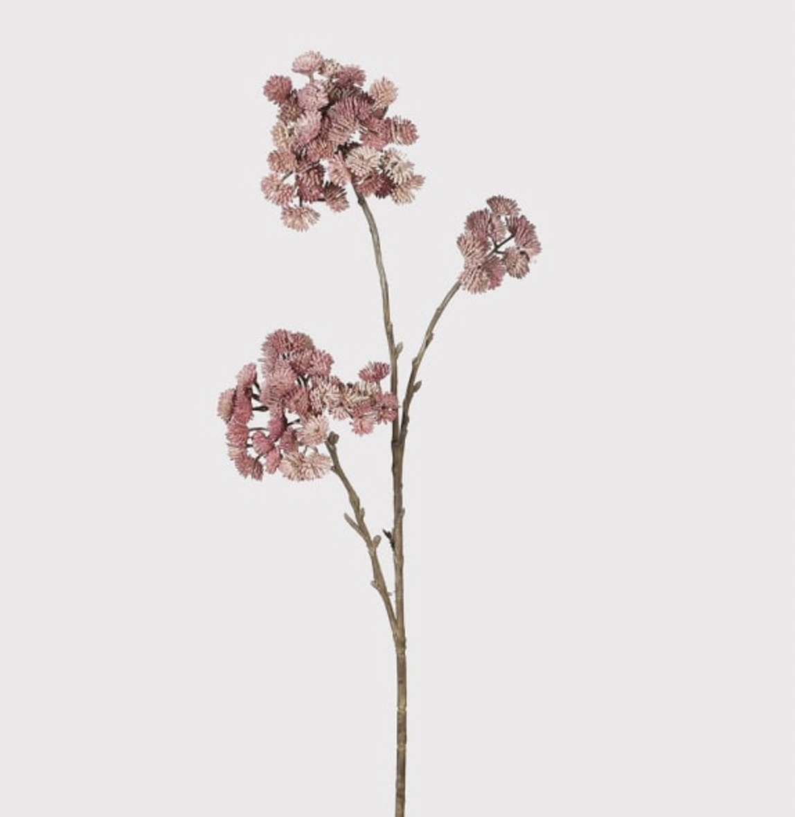 Mauve Sedum Spray
