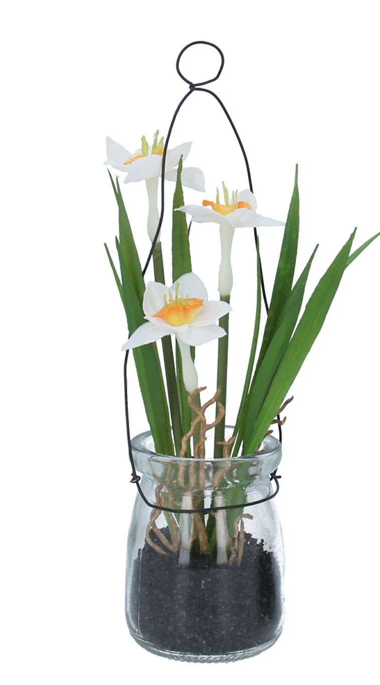 Hanging Glass Potted Narcissus