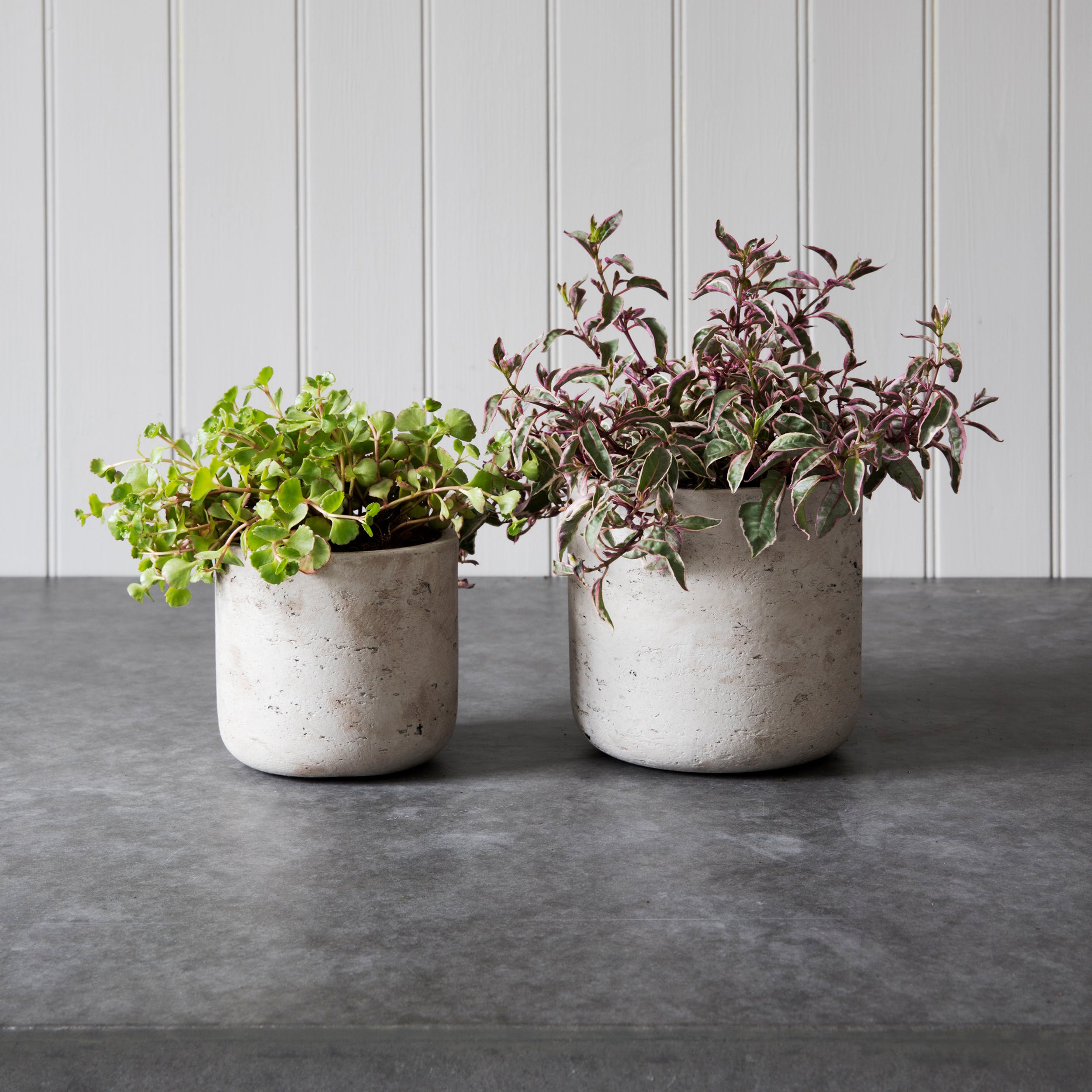 Small Concrete Stratton Plant Pot