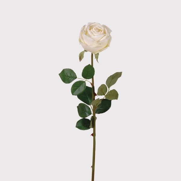 White Rose Vienna