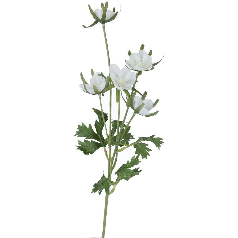 White Wildflower Stem