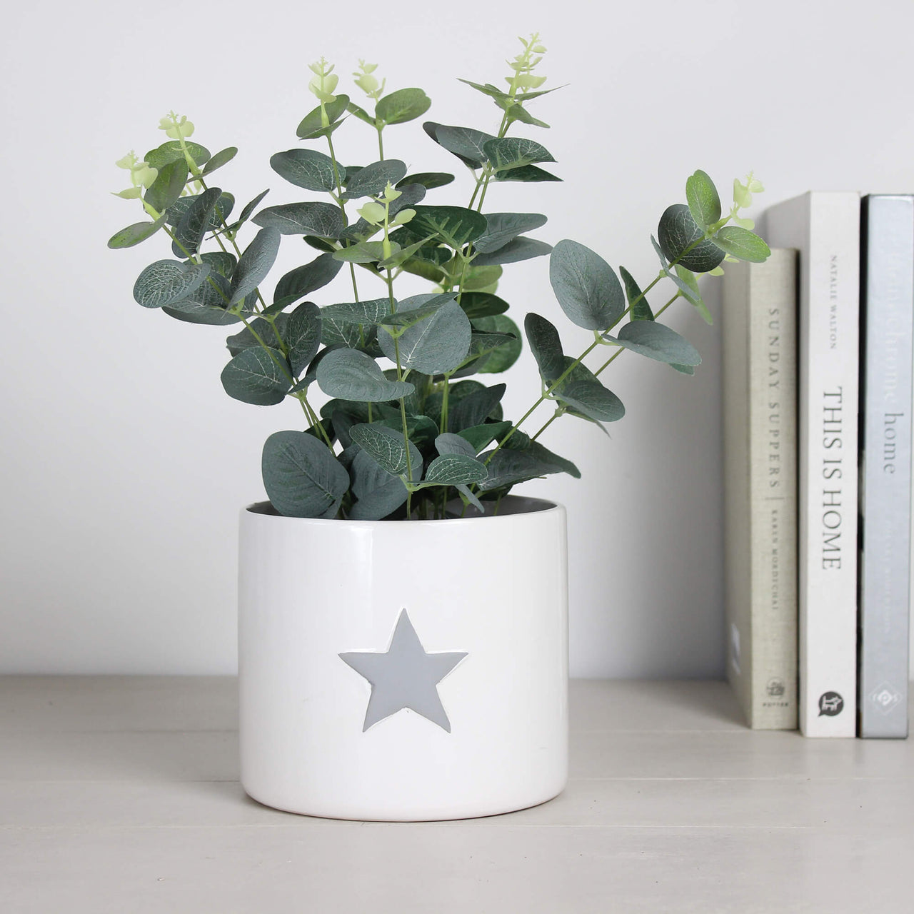White Ceramic Flower Pot with Grey Star