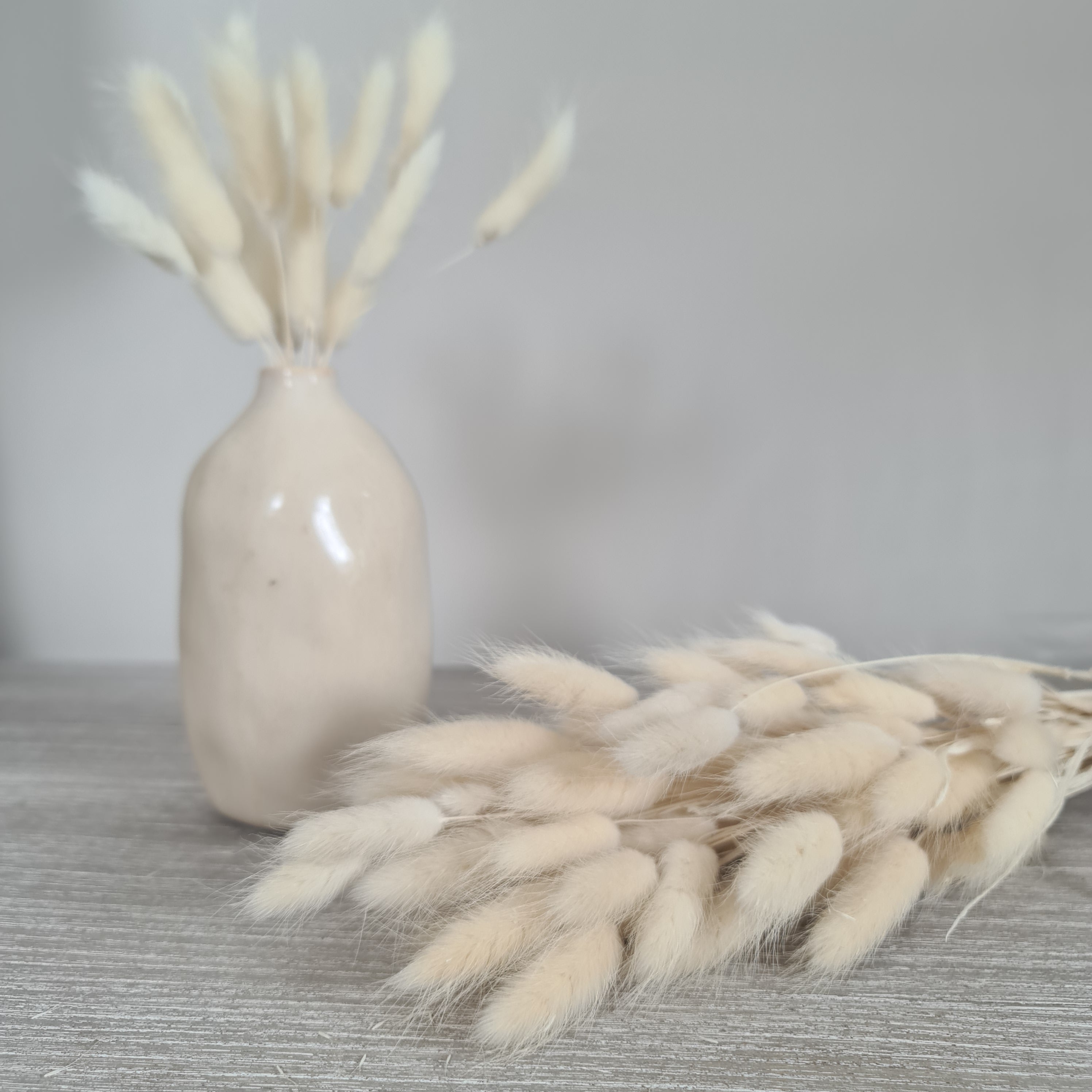 Dried White Bunny Tail Bunch
