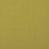 Thumbnail for Carrera Lime Roman Blind