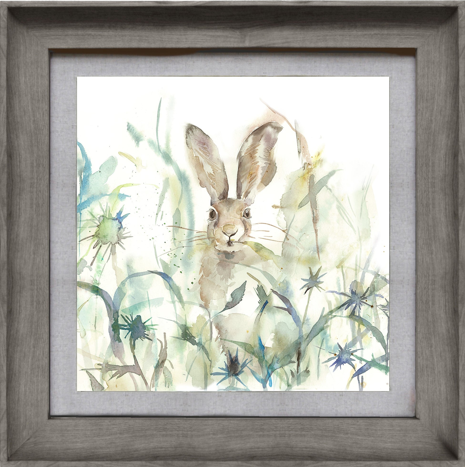 Jack Rabbit Hare Picture Voyage Maison Art