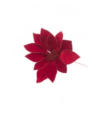 Thumbnail for Glitter Tipped Poinsettia