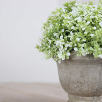 Thumbnail for Faux Small White and Green Potted Dianthus