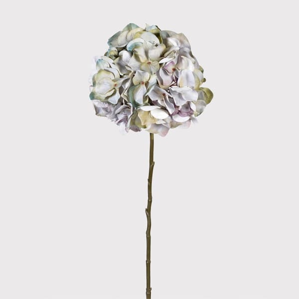 Pale Lavender Hydrangea Stem